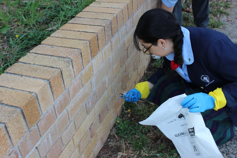 2019 Clean up Australia