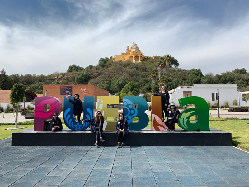 2019WYD3