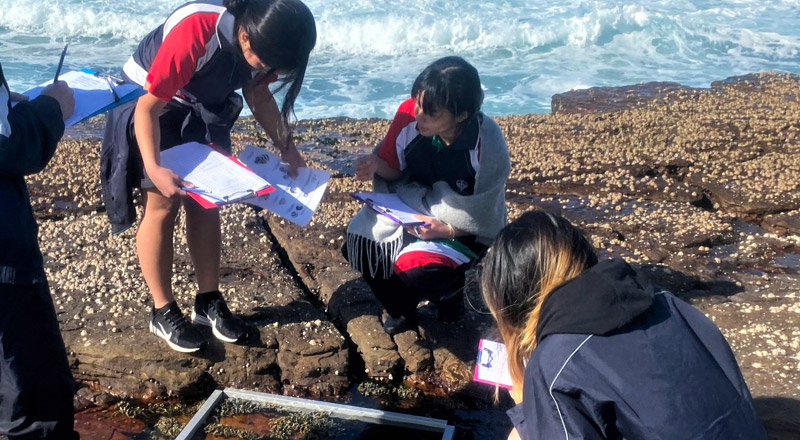 Stage 5 Learning - Delany Catholic College Granville