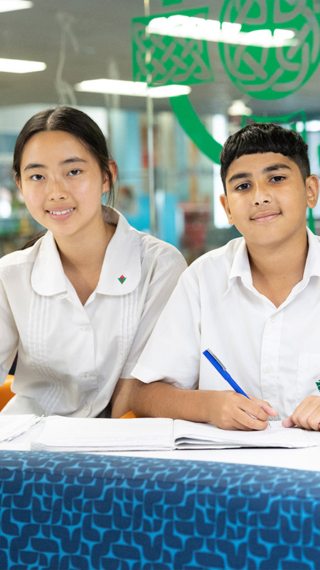 Delany College Granville students studying in school library